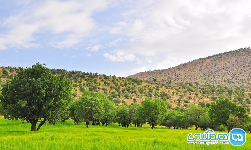 منطقه حفاظت شده هلن